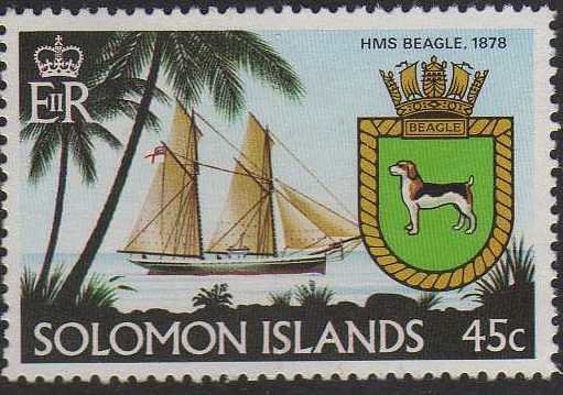 Beagle