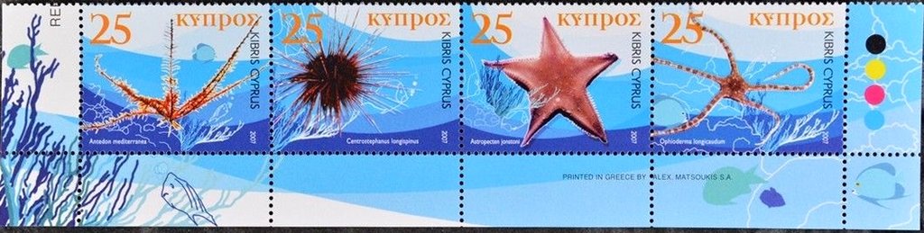 Echinodermata of Cyprus