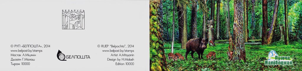 Booklet, Naliboki Pushcha, Belarus,  , Animals (Fauna)