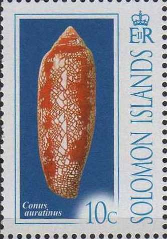 Conus auratinus