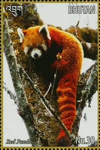 Stamp, Red Panda (Ailurus fulgens), Bhutan,  , Animals (Fauna), Giant Pandas, Mammals