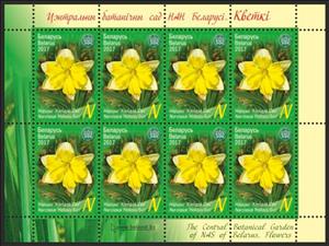 Mini Sheet, Daffodil 'Holiday Sun', Belarus,  , Flowers, Plants (Flora)