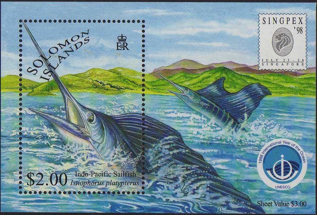 Indo Pacific Sailfish