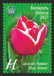 Stamp, Тulip 'Armani', Belarus,  , Flowers, Plants (Flora), Tulips