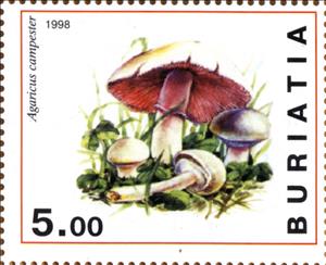 Stamp, Agaricus campester, Cinderellas,  , Mushrooms
