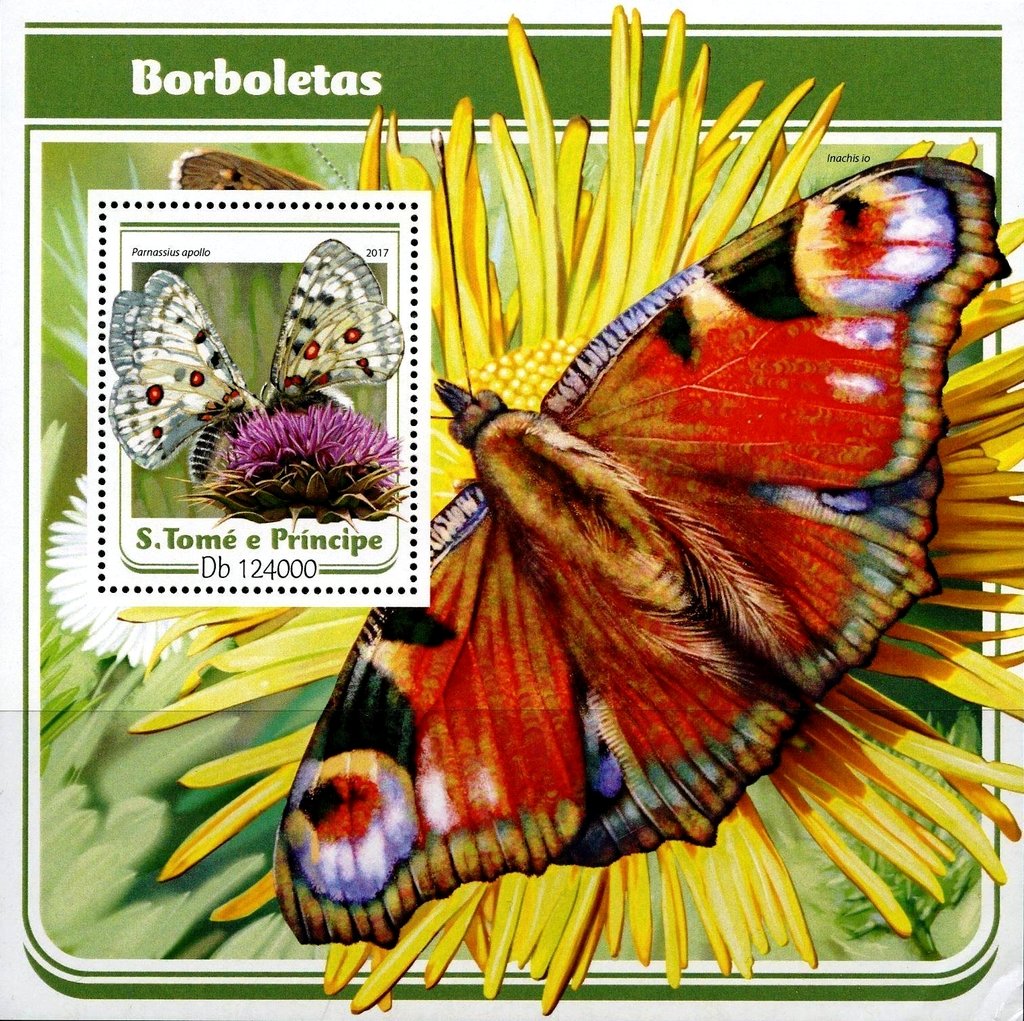 Panassius apollo