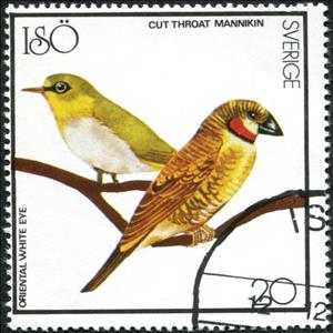 Stamp, Oriental White Eye and Cut Throat Mannikin, Cinderellas,  , Animals (Fauna), Birds