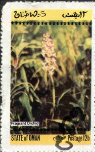 Stamp, Fragrant Orchid, Cinderellas,  , Flowers