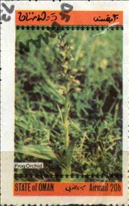 Stamp, Frog orchid, Cinderellas,  , Flowers