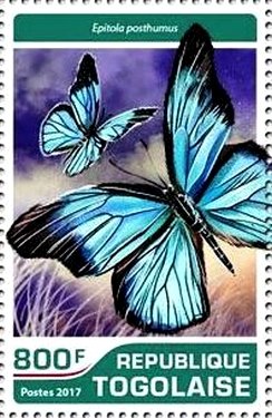 Stamp, Epitola posthumus, Cinderellas,  , Butterflies, Insects