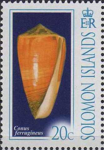 Conus ferruginues