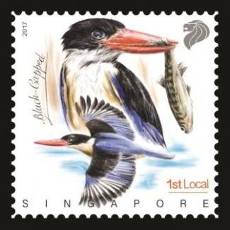 Kingfishers