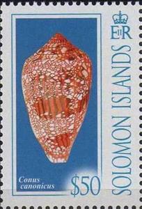 Stamp, Conus canonicus, Solomon Islands,  , Animals (Fauna), Molluscs, Sea Life, Shells