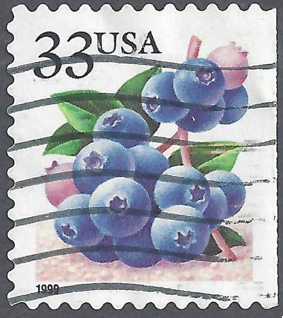 Fruit Berries: Blueberries