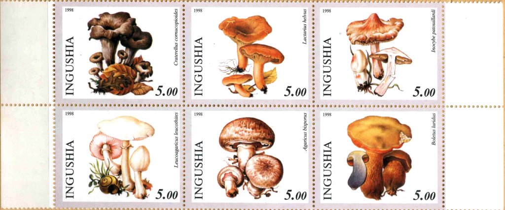 Mushrooms