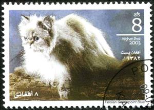 Stamp, Persian Colourpoint Blue (Felis silvestris catus), Cinderellas,  , Animals (Fauna), Cats