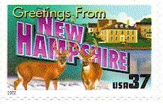 White-tailed Deer (Odocoileus virginianus) - New Hampshire