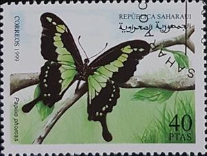 Stamp, Papilio Phorcas, Cinderellas,  , Butterflies, Insects