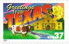 Texas Longhorn (Bos primigenius taurus), The Alamo