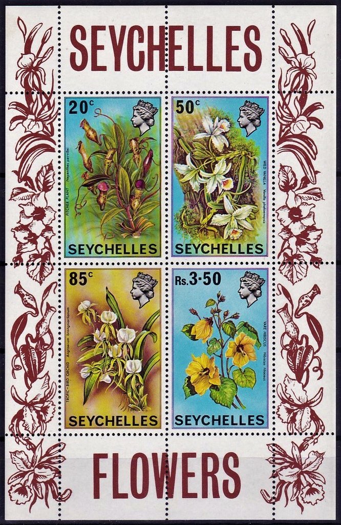 Various Orchids