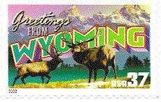 Wapiti (Cervus canadensis), Rocky Mountains