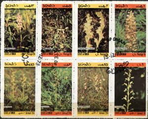 Mini Sheet, Flowers, Cinderellas,  , Flowers