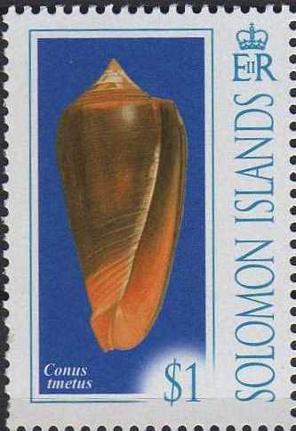 Conus tmetus