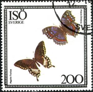 Stamp, Papilio troilus, Precis octavia, Cinderellas,  , Animals (Fauna), Butterflies, Insects