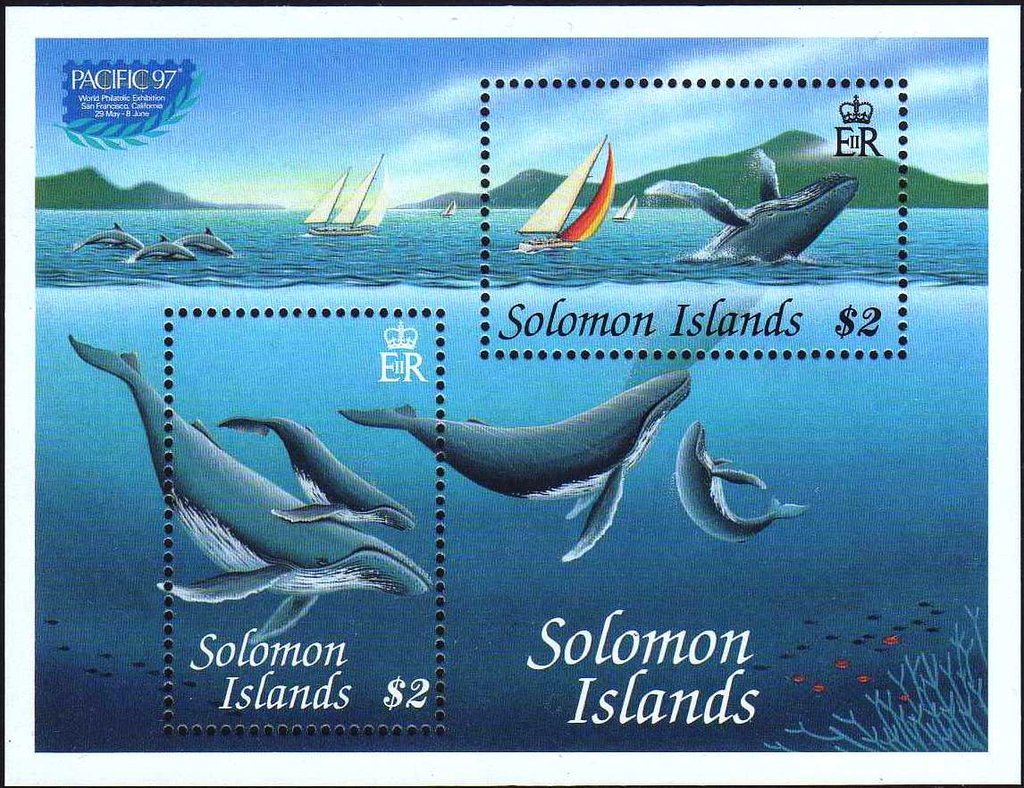 Whale Breaking Surface Minisheet