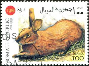Stamp, Rabbits, Cinderellas,  , Animals (Fauna), Mammals, Rabbits