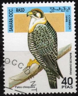 Stamp, Falco Chicquera, Cinderellas,  , Birds
