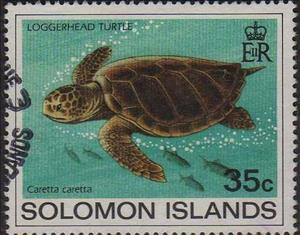 Stamp, Loggerhead, Solomon Islands,  , Animals (Fauna), Reptiles, Sea Life, Turtles