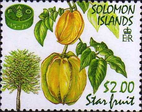 Star Fruit