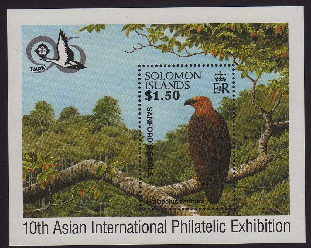 Sanford's Sea-eagle (Haliaeetus sanfordi)