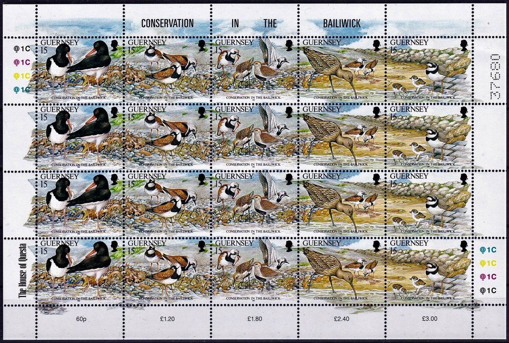 Various Birds