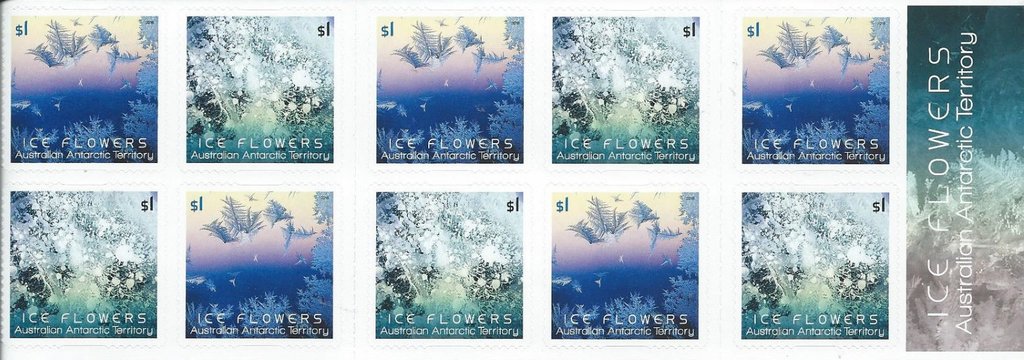 Ice Flowers