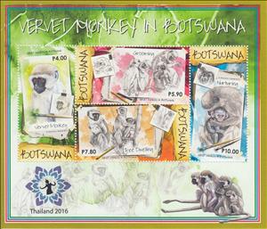 Souvenir Sheet, Vervet monkey (Chlorocebus pygerythrus) - THAILAND '16, Botswana,  , Animals (Fauna), Mammals, Monkeys, Philatelic Exhibitions