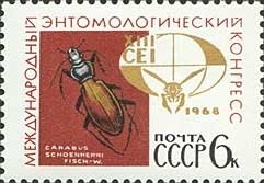 Ground Beetle (Carabus schoenherri), Emblem of 13th Entomolo