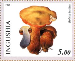 Stamp, Boletus luridus, Cinderellas,  , Mushrooms