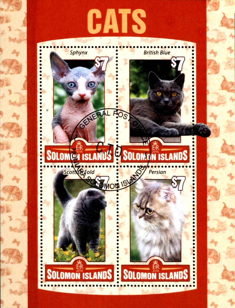 Cats