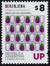 Berenjena (Aubergine - Solanum melongena L.)