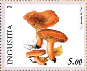 Stamp, Lactarius helvus, Cinderellas,  , Mushrooms