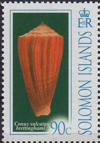 Conus brettinghami