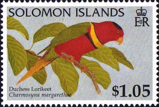 Duchess Lorikeet