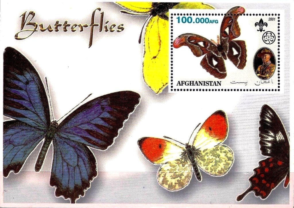 Butterflies