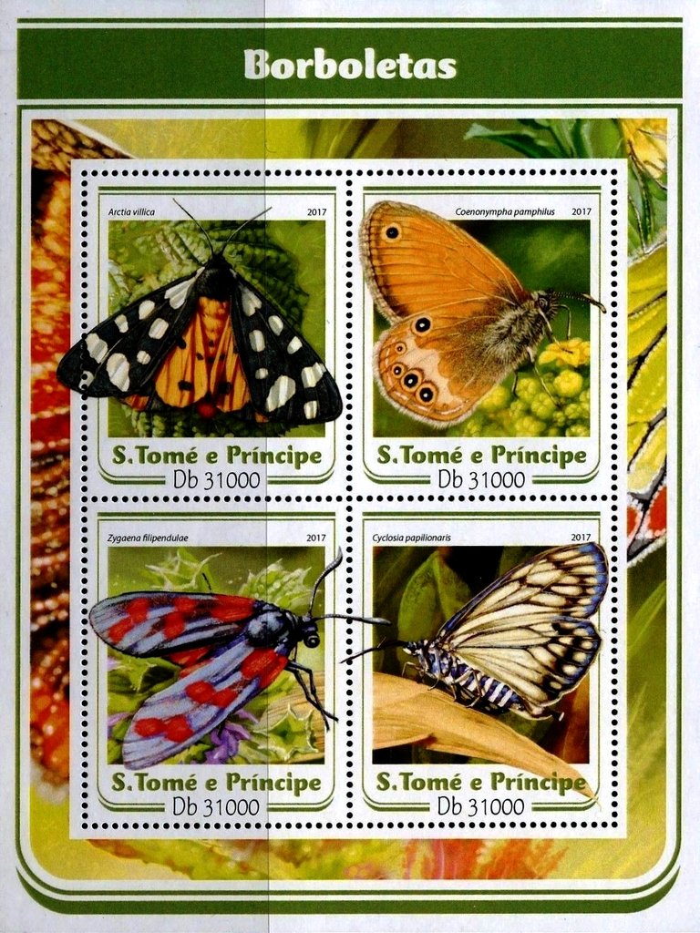 Butterflies