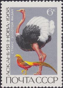 Stamp, Ostrich (Struthio camelus), Golden Pheasant (Chrysolophus pi, Soviet Union, USSR,  , Birds, National Parks, Animals (Fauna)