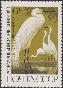 Stamp, Great Egret (Egretta alba), Soviet Union, USSR,  , Birds, Animals (Fauna)