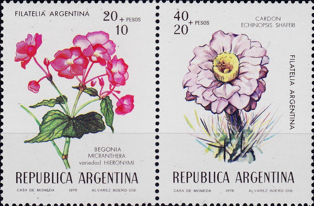 Flowers 1976