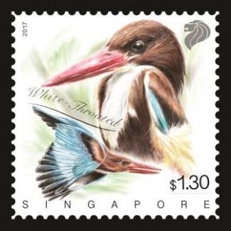 Kingfishers